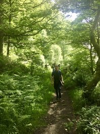 Woodland walk, Lumb Bank, Yorkshire