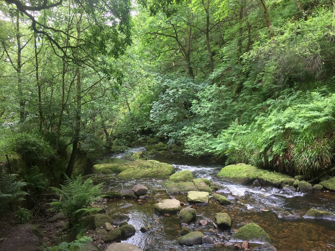 Woodland stream near Lumb Bank, Yorkshire